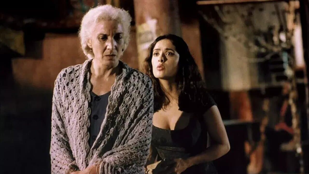 Poster backdrop for No One Writes to the Colonel