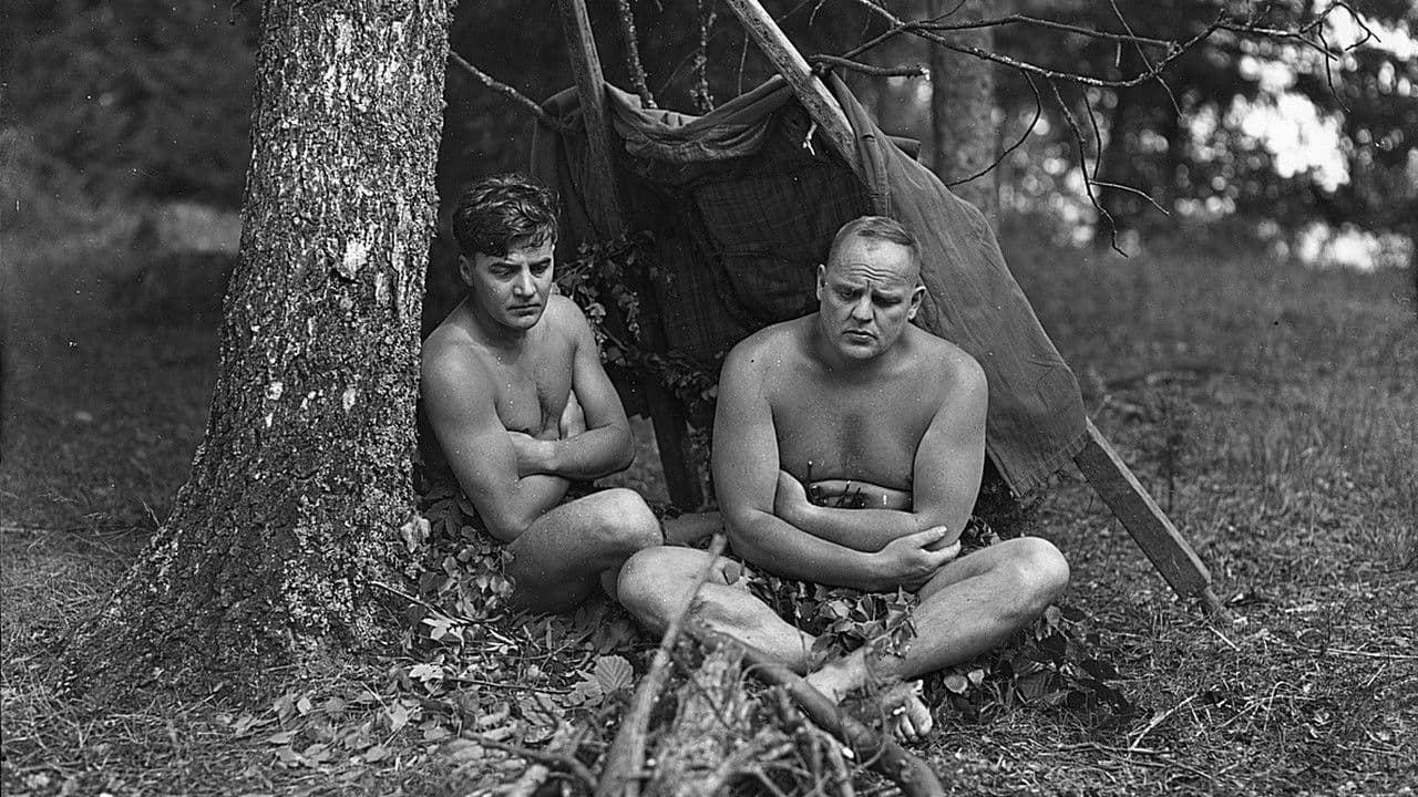 Poster backdrop for Aatamin puvussa ja vähän Eevankin