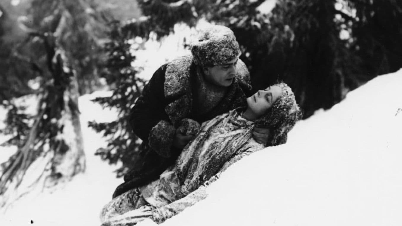 Poster backdrop for Stormfågeln