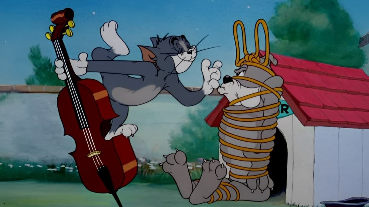 Poster backdrop for Solid Serenade