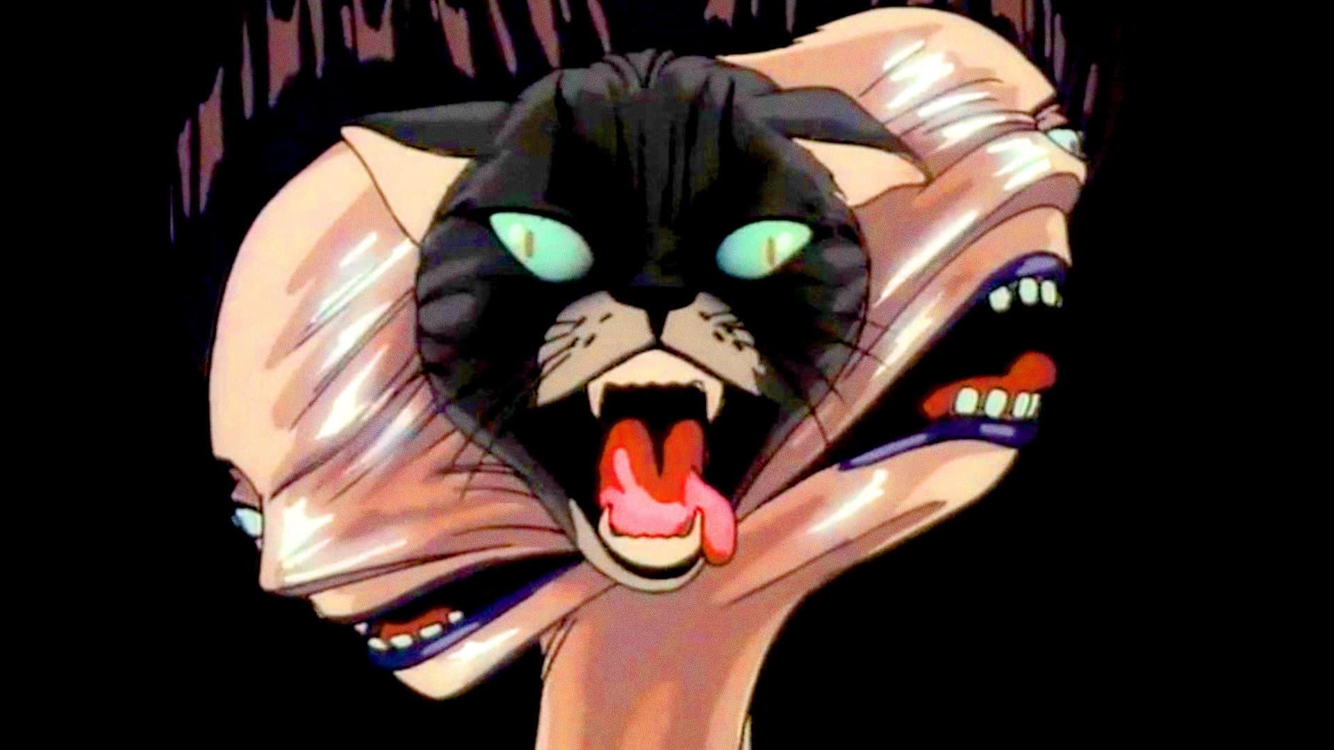 Poster backdrop for Lily C.A.T.