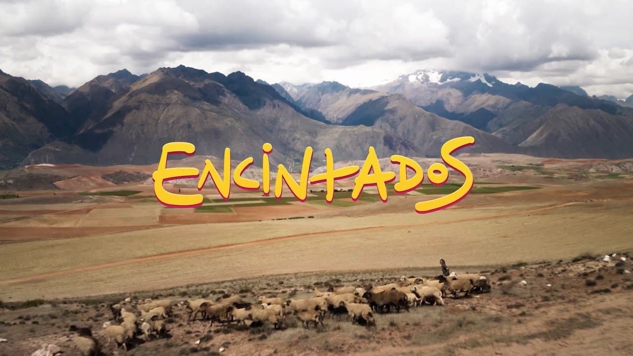 Poster backdrop for Impregnated