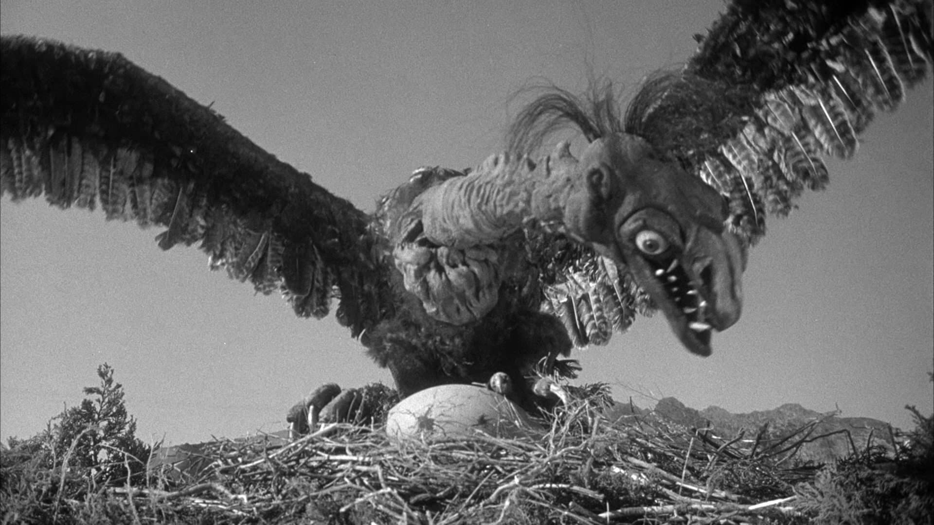 Poster backdrop for The Giant Claw