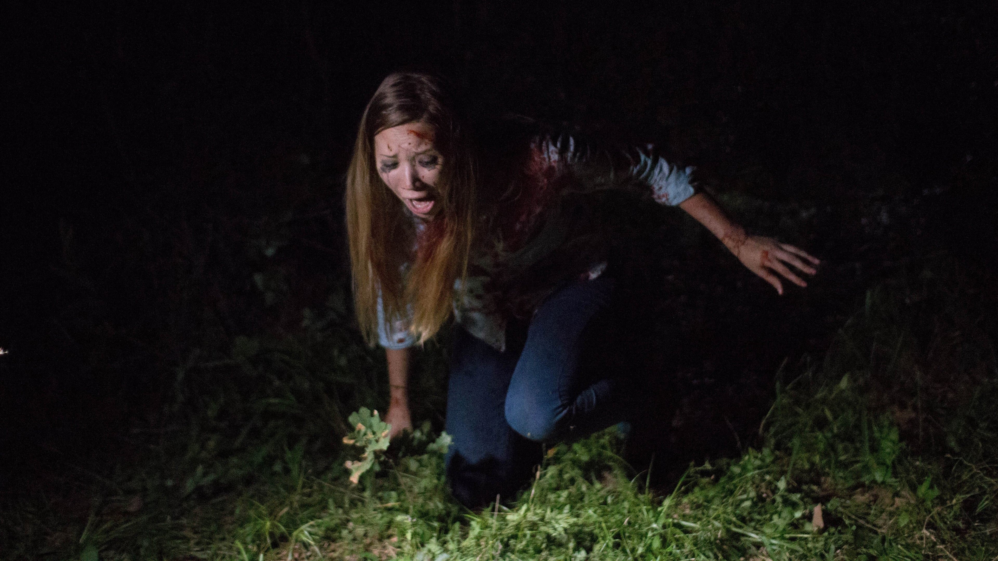 Poster backdrop for Found Footage 3D