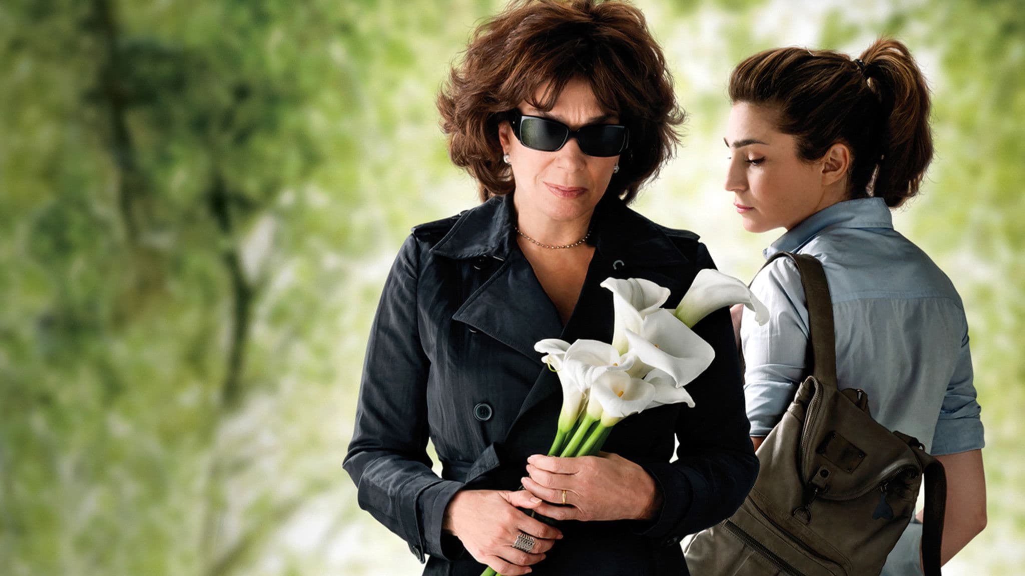 Poster backdrop for Widows