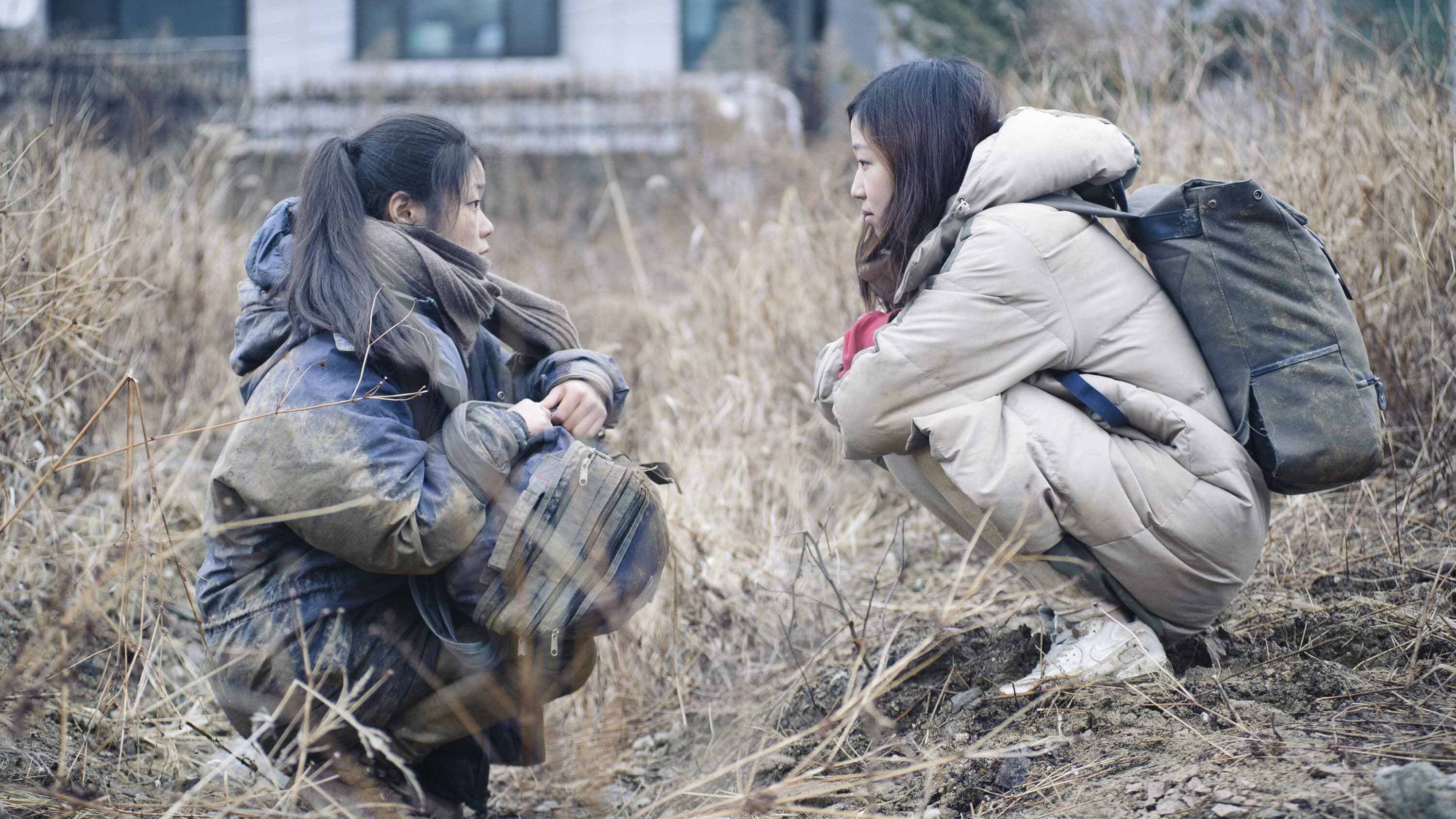 Poster backdrop for Wild Flowers