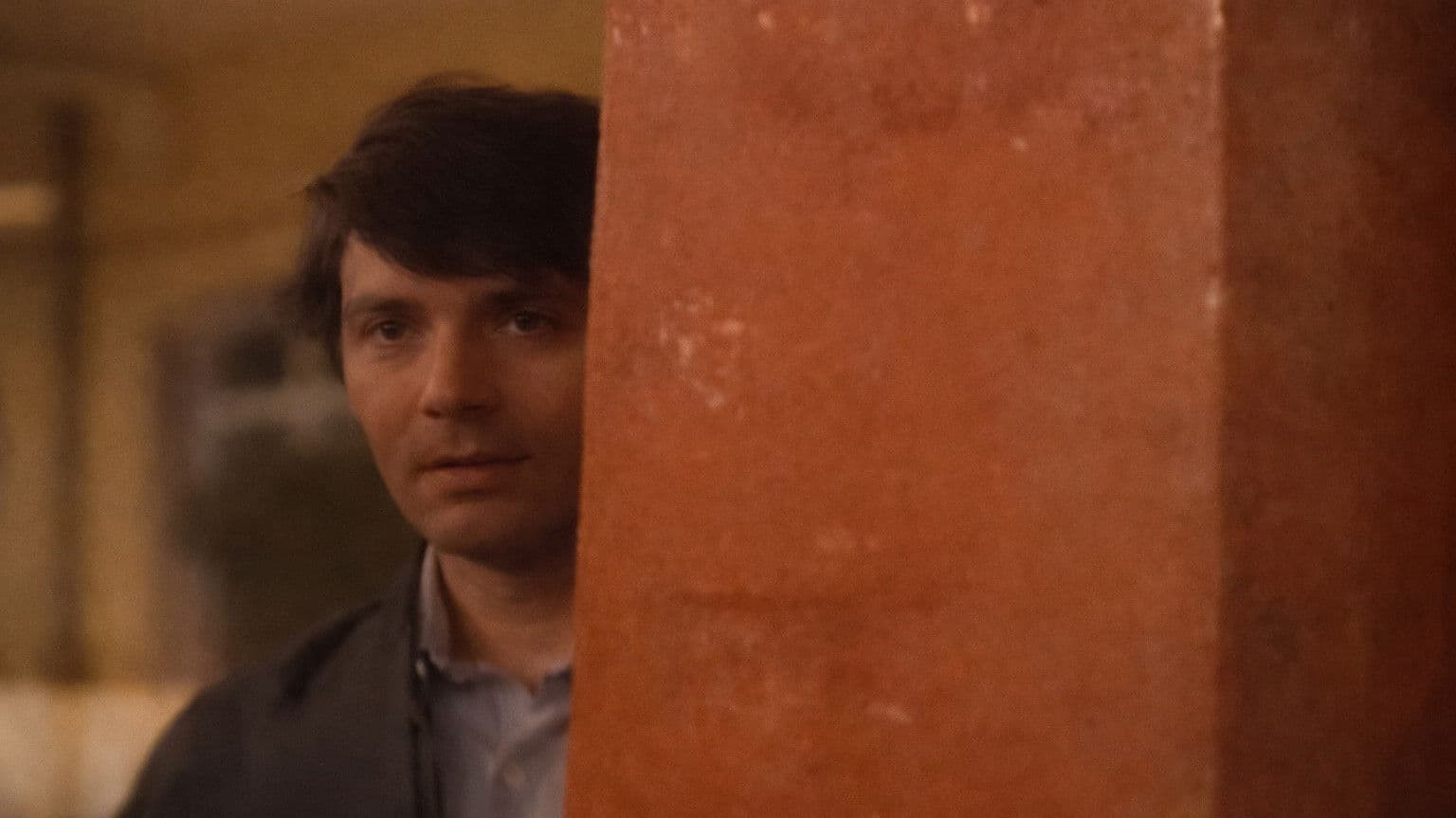 Poster backdrop for The House of the Pelican