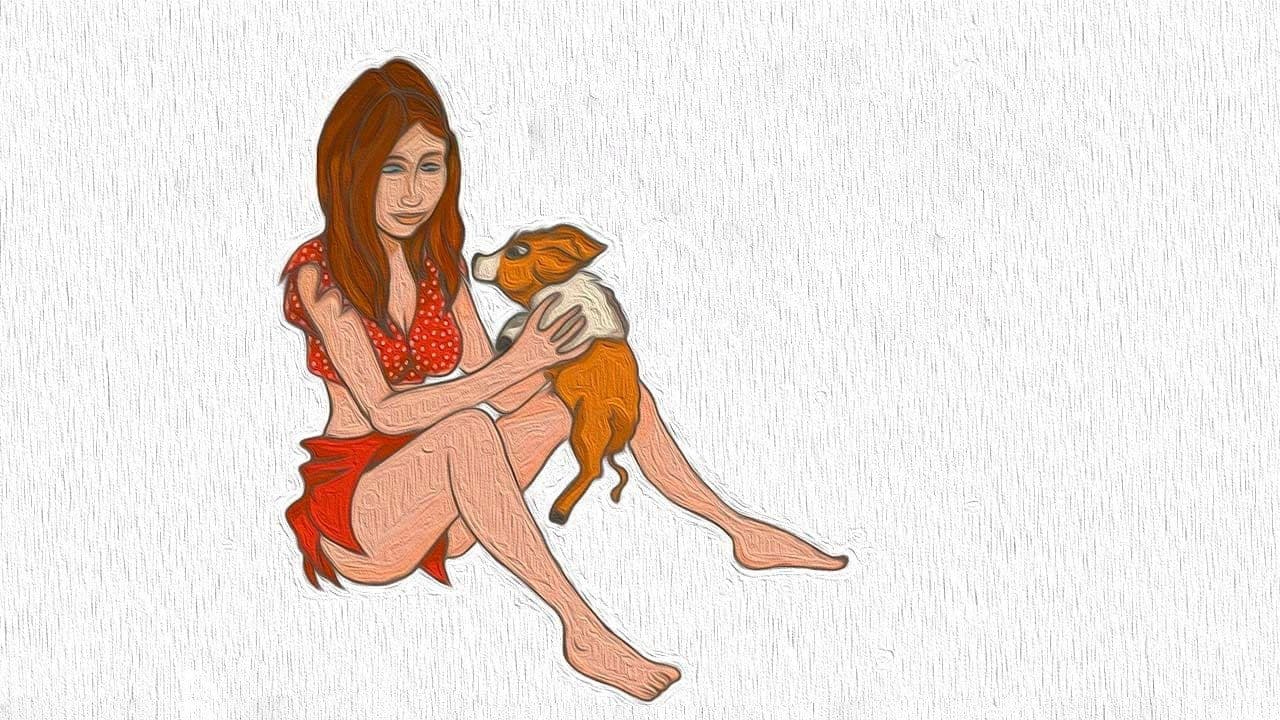 Poster backdrop for The Pig Keeper's Daughter