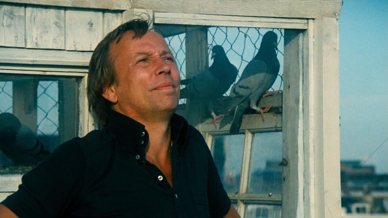 Poster backdrop for Naked Over the Fence