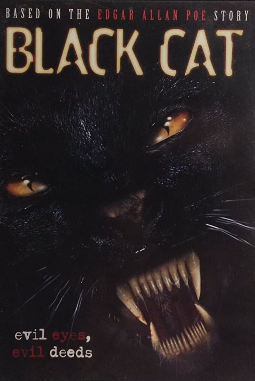 Poster backdrop for Black Cat
