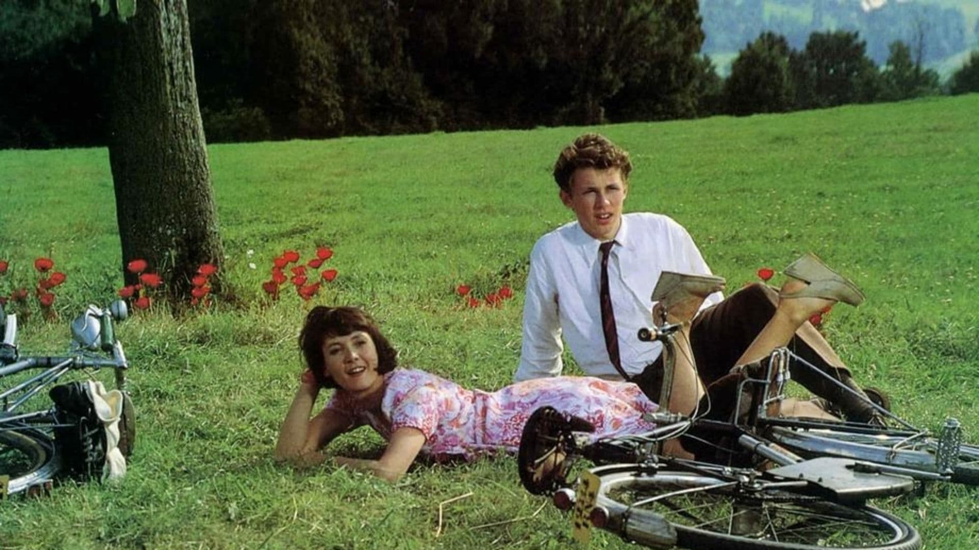 Poster backdrop for Five Days in June