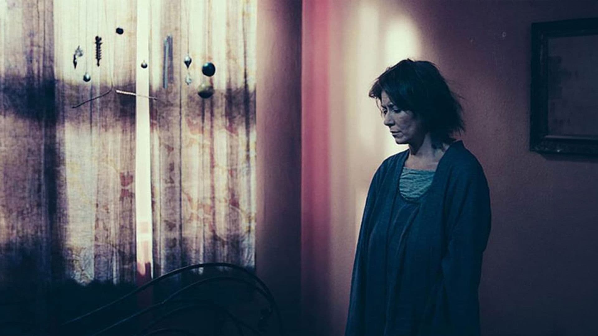 Poster backdrop for Neighborhooders