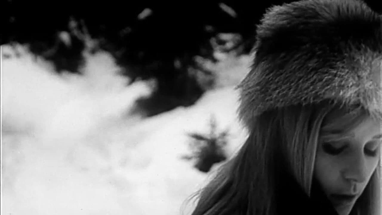 Poster backdrop for On Paper Wings