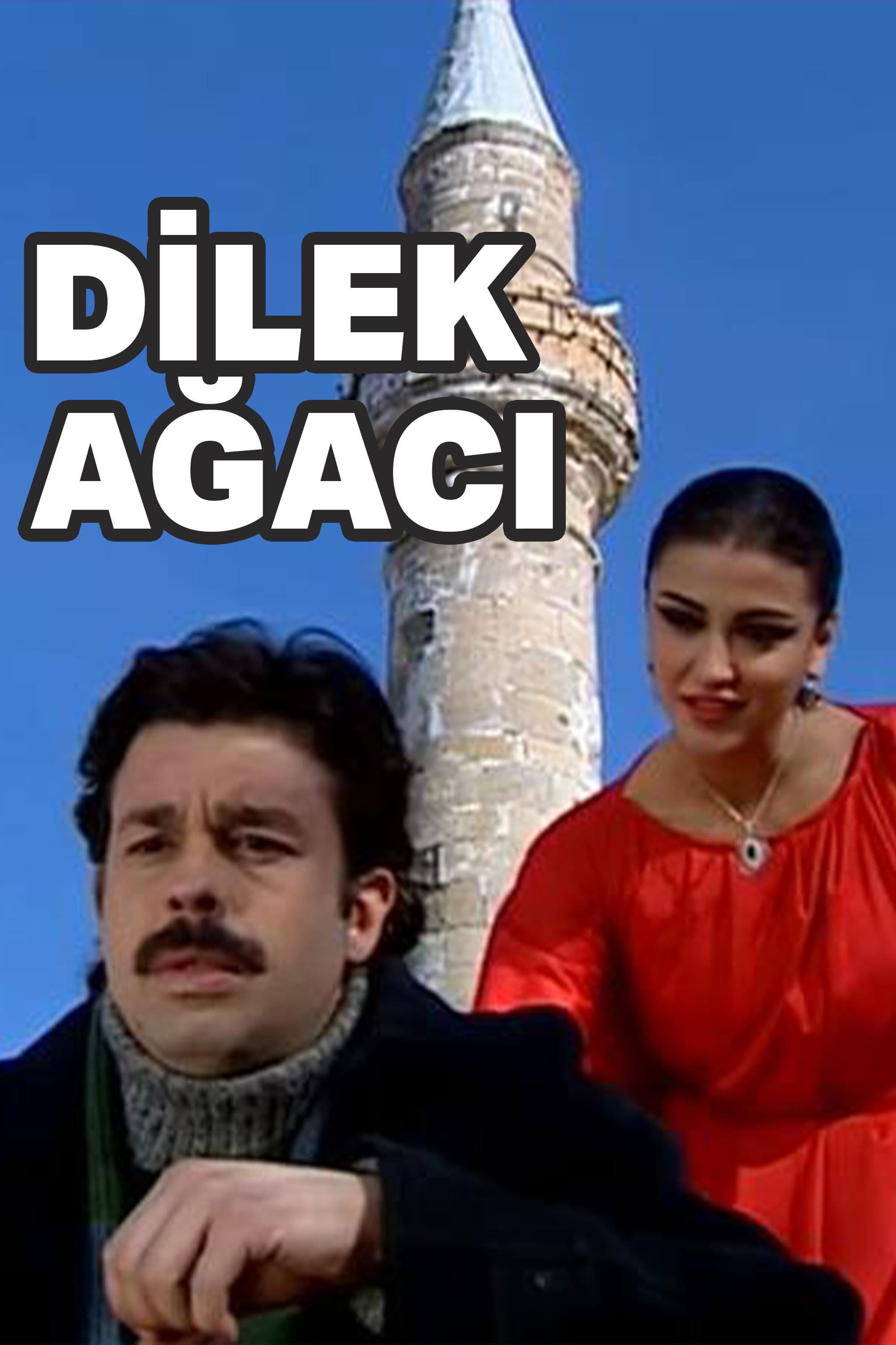 Poster backdrop for Dilek Ağacı
