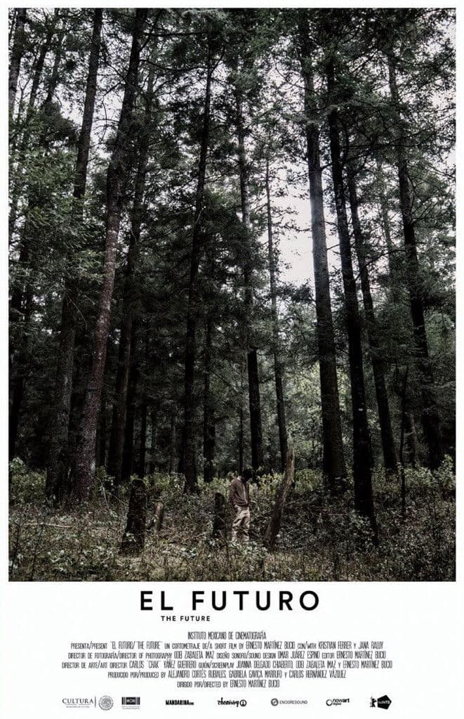 Poster backdrop for The Future