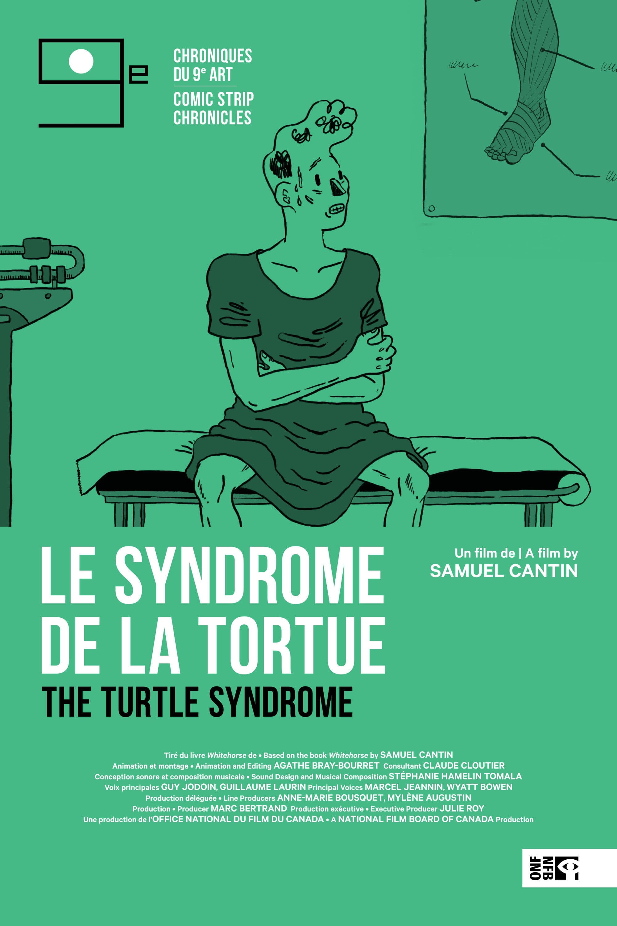Poster backdrop for The Turtle Syndrome