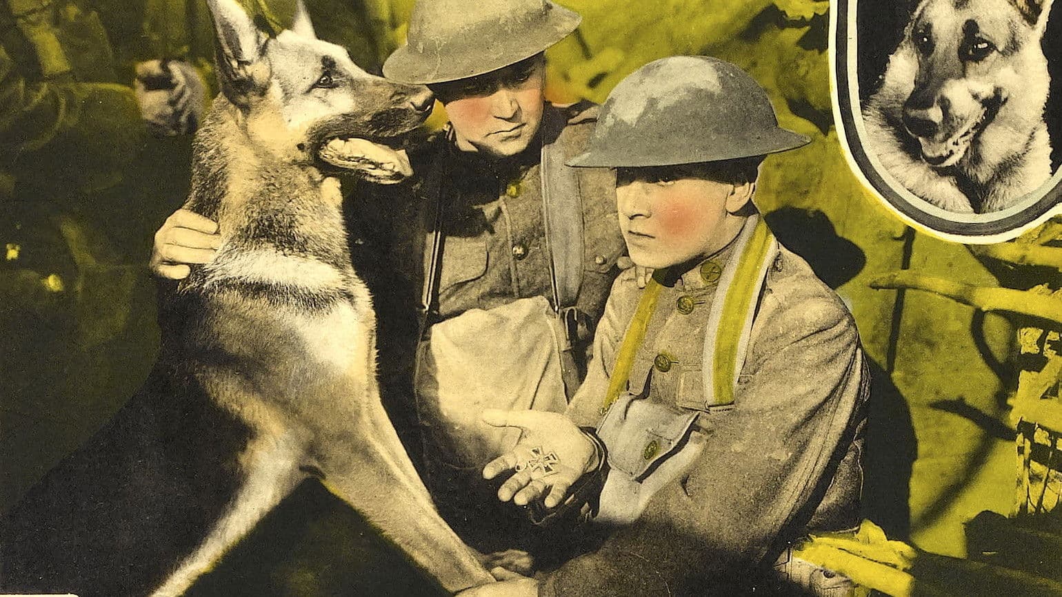 Poster backdrop for His Master's Voice