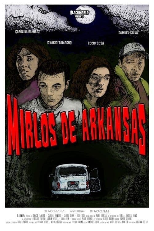 Poster backdrop for Mirlos de Arkansas
