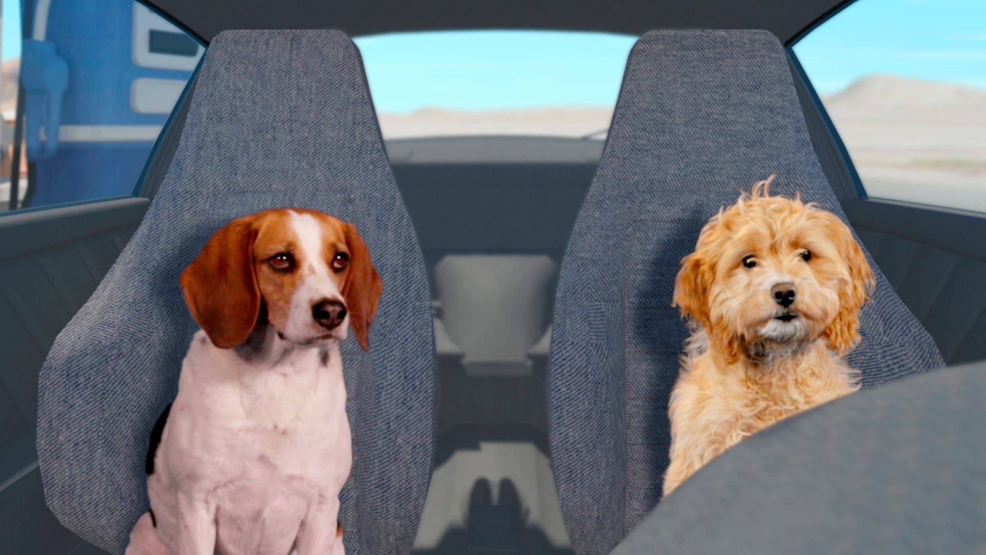 Poster backdrop for Fast and Furriest