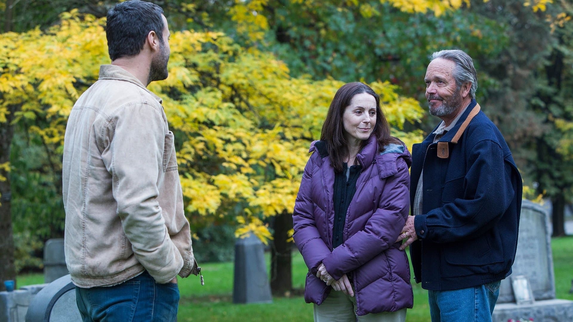 Poster backdrop for The Wilding