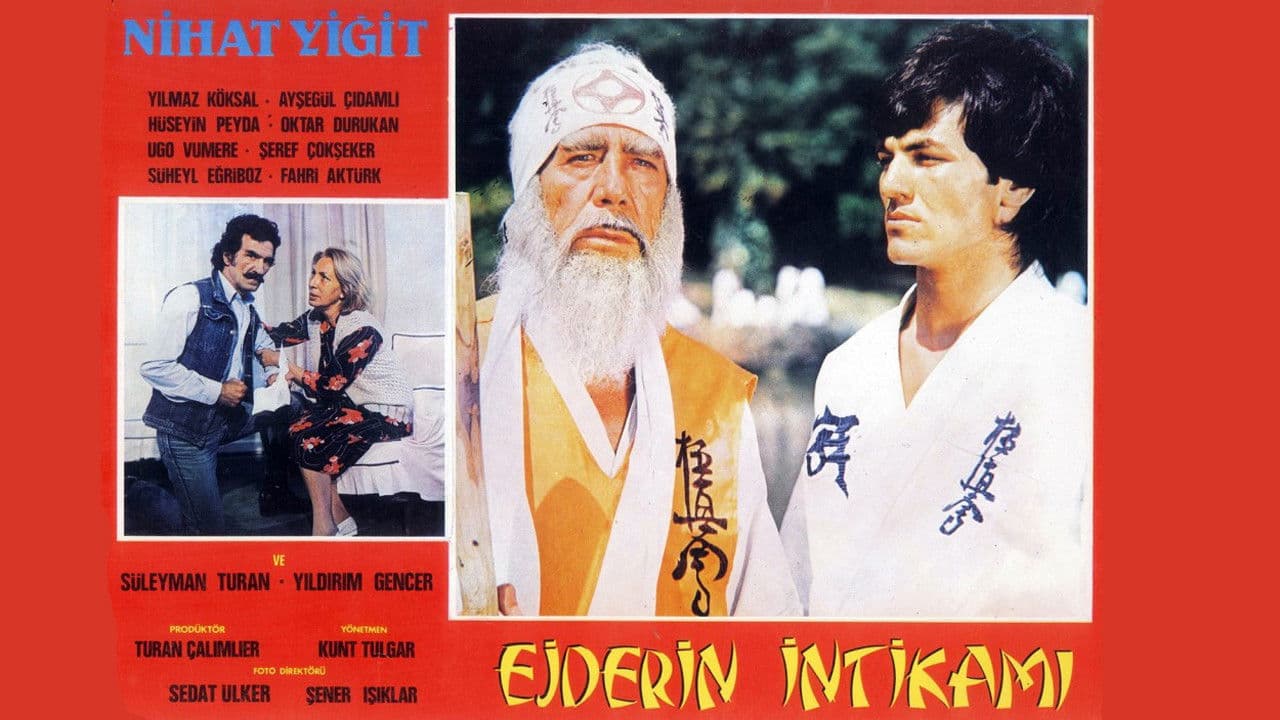 Poster backdrop for Ejderin İntikamı