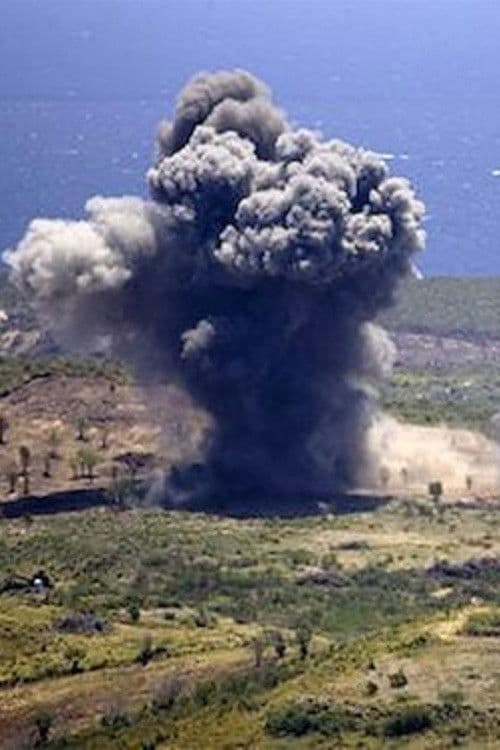 Poster backdrop for The Battle of Vieques