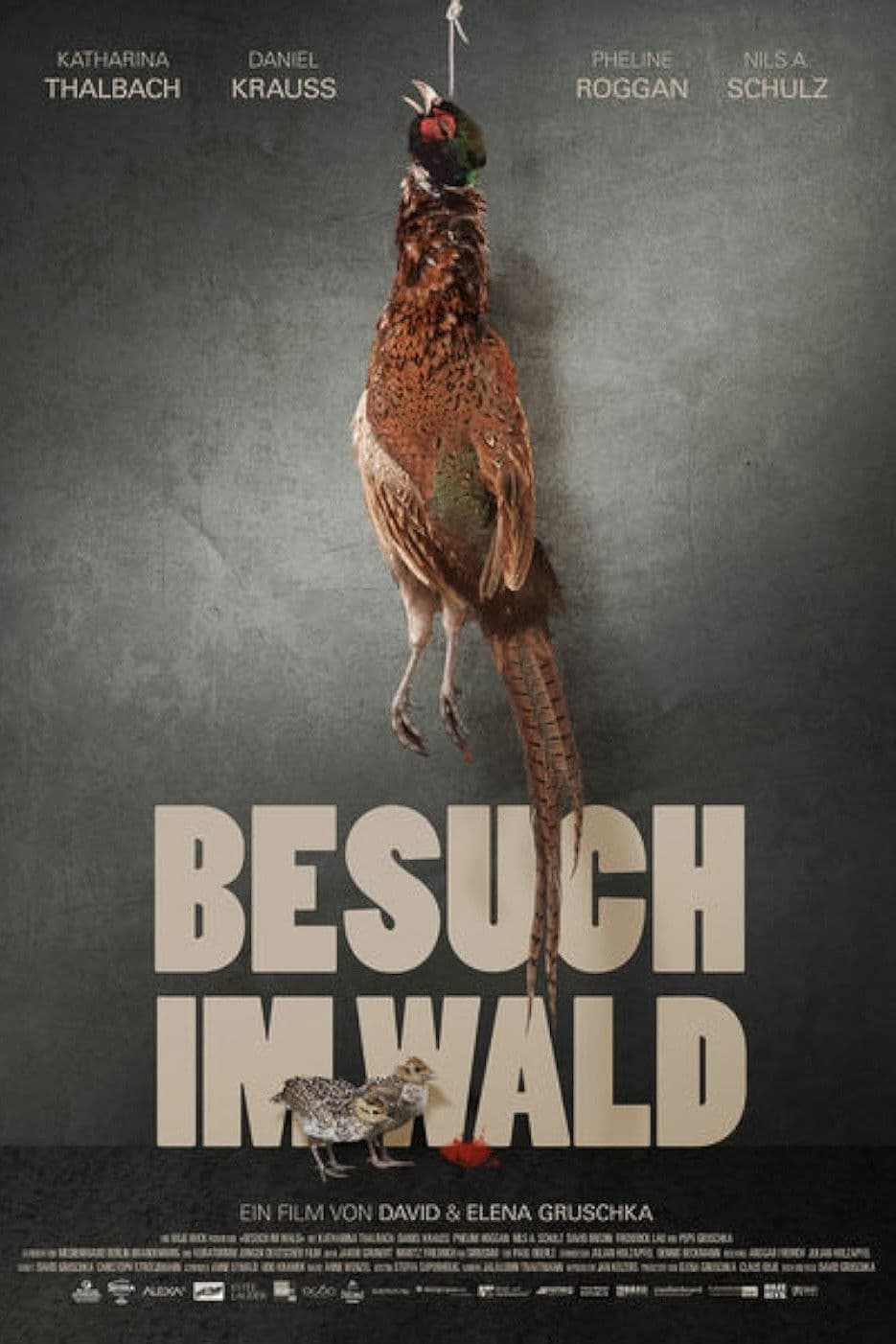 Poster backdrop for Besuch im Wald