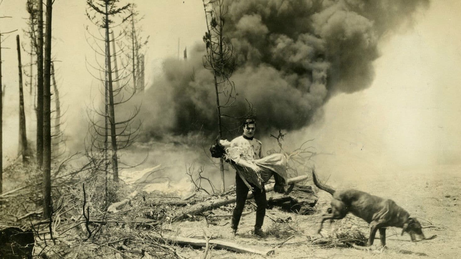 Poster backdrop for Teeth