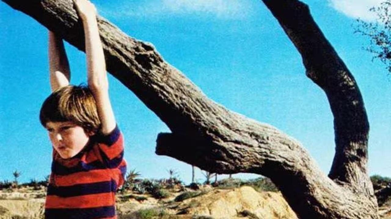 Poster backdrop for Misunderstood