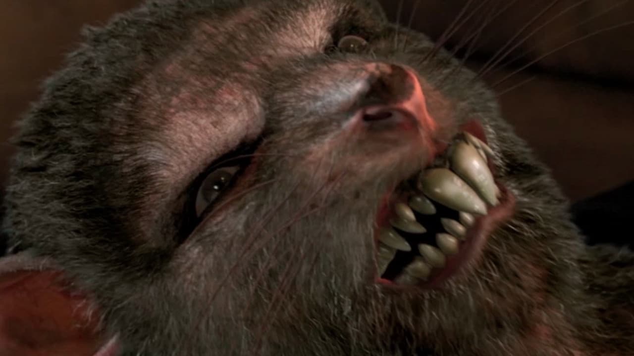 Poster backdrop for Ratpocalypse