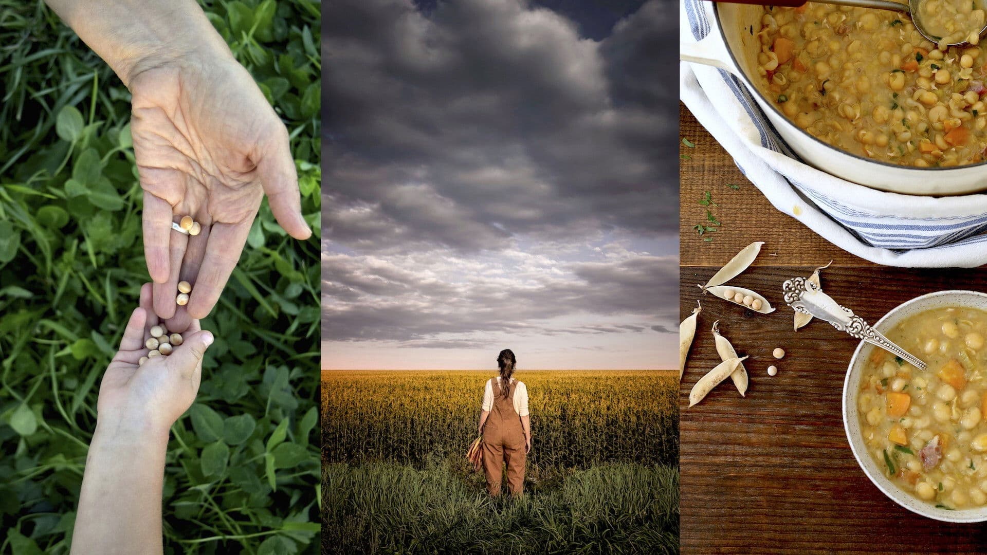 Poster backdrop for Modified