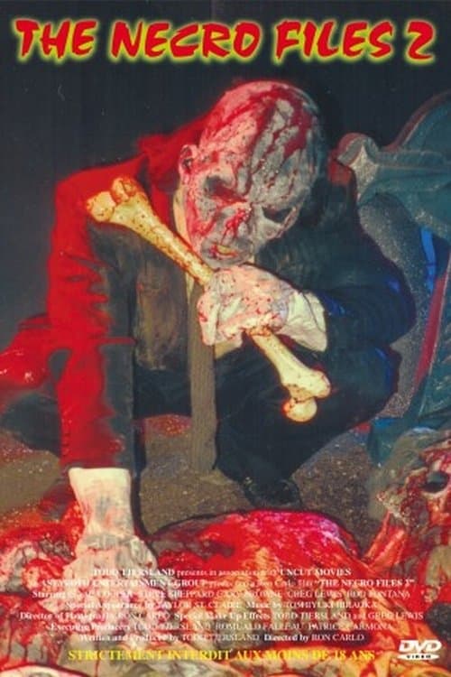 Poster backdrop for The Necro Files 2