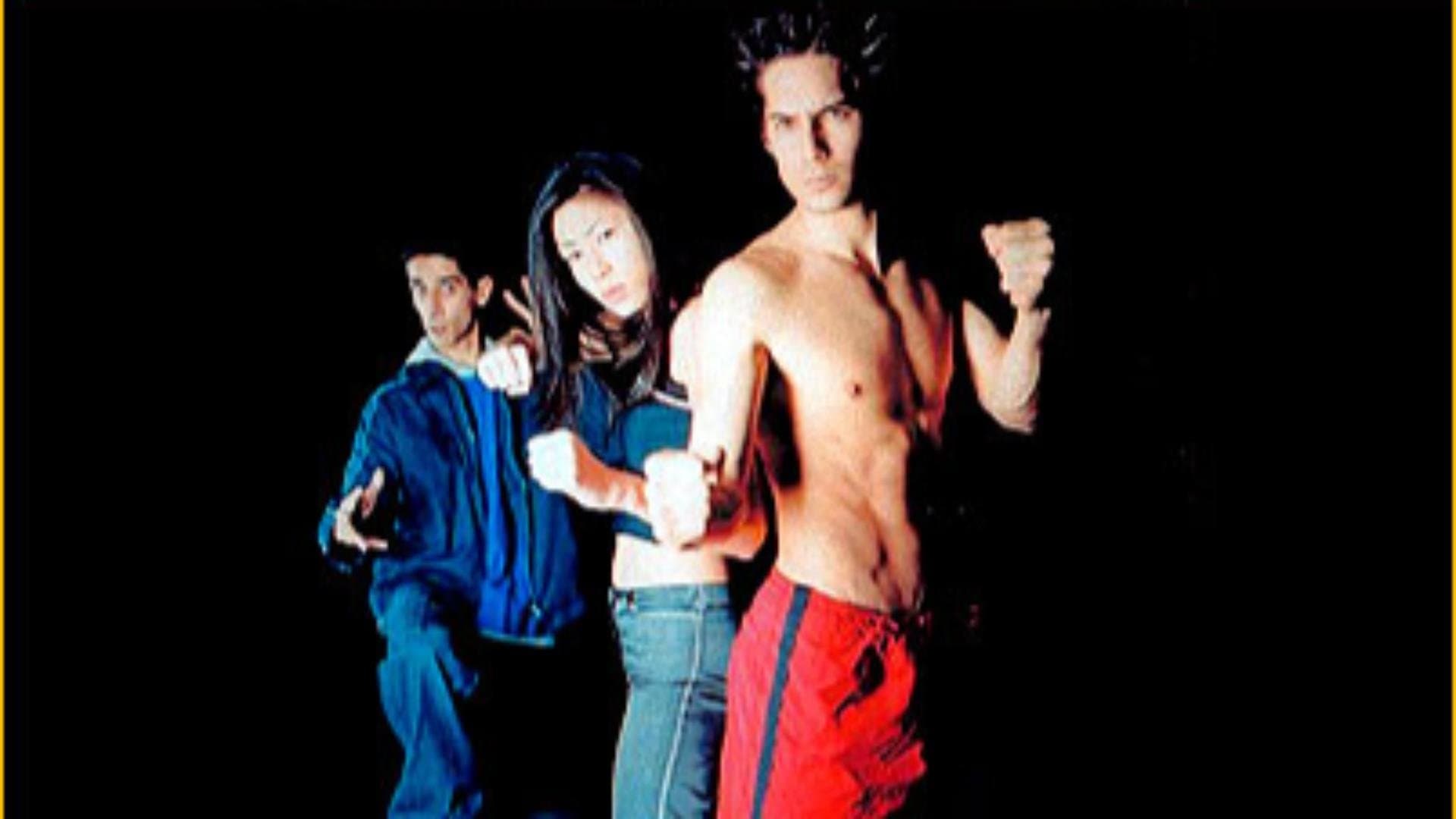 Poster backdrop for Samouraïs