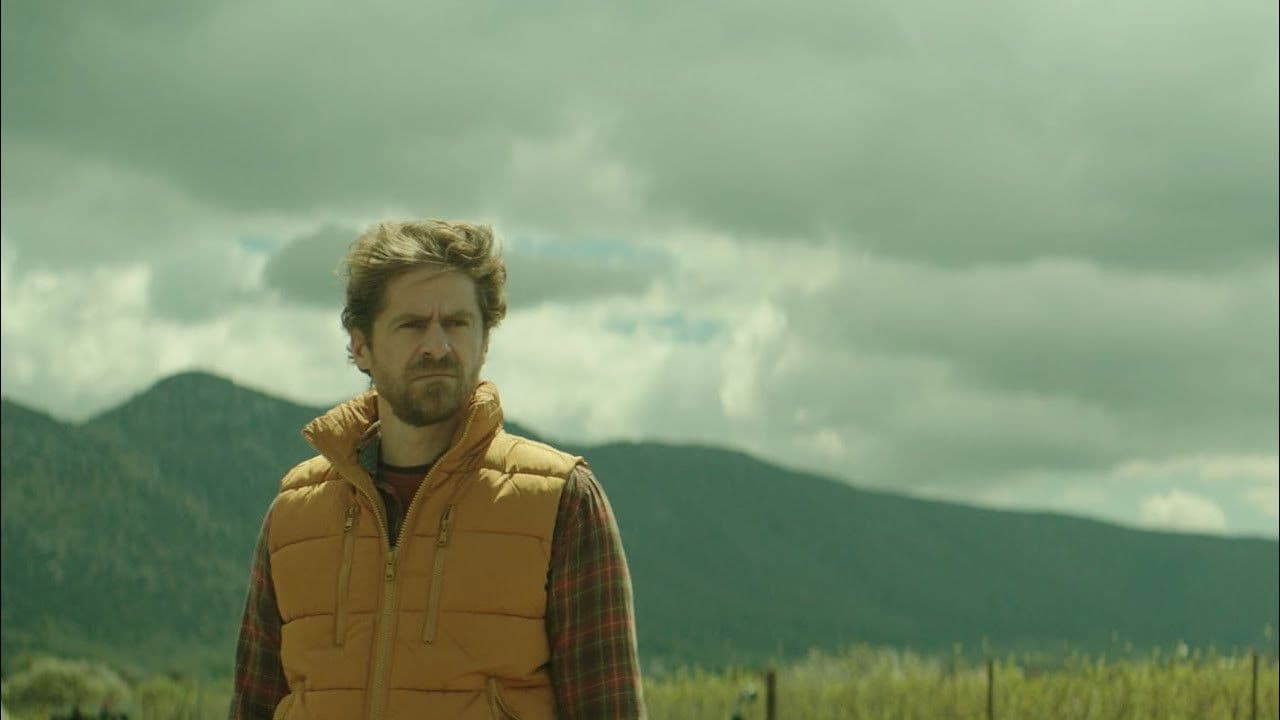 Poster backdrop for Pack of Sheep