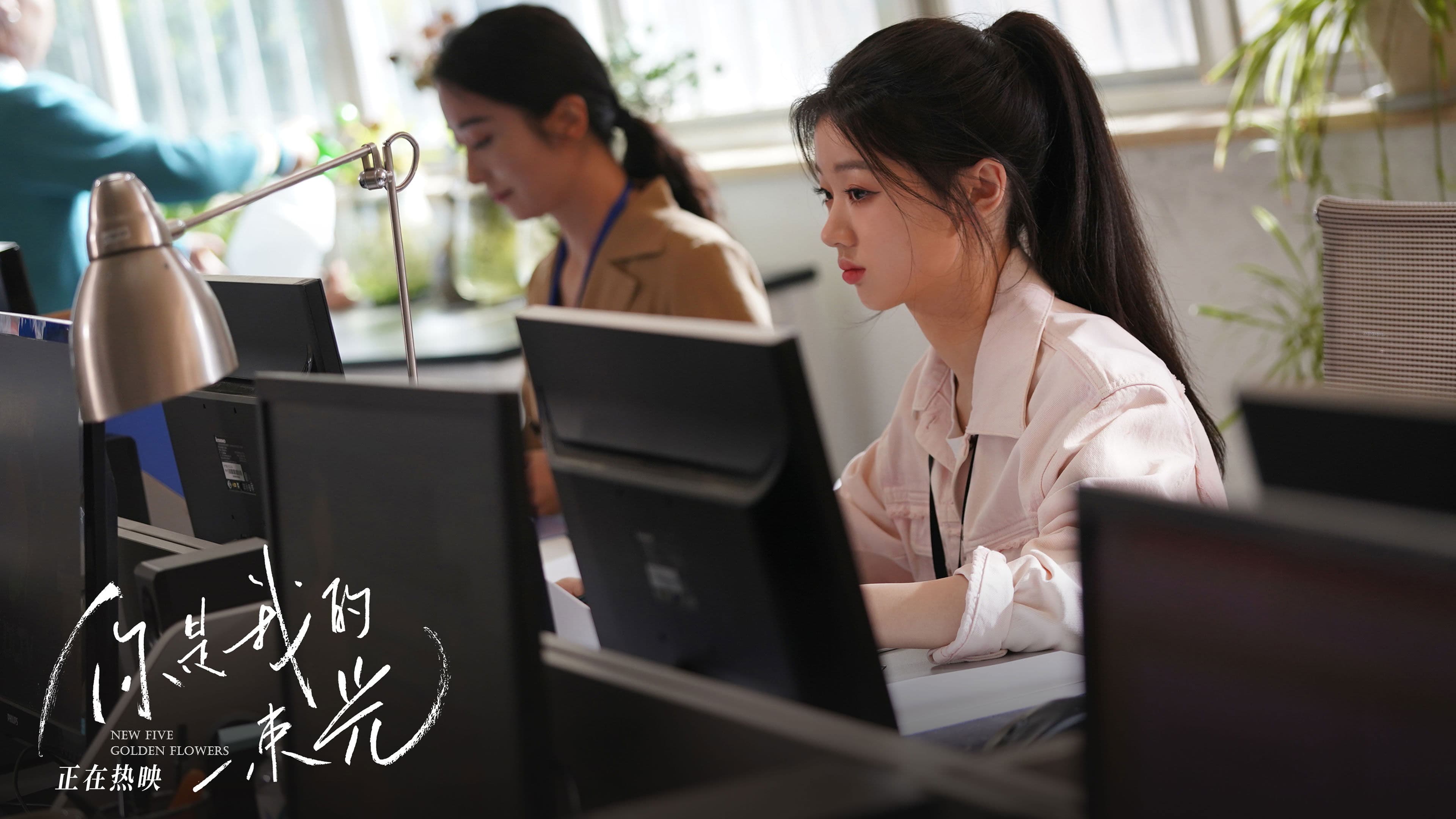 Poster backdrop for New Five Golden Flowers