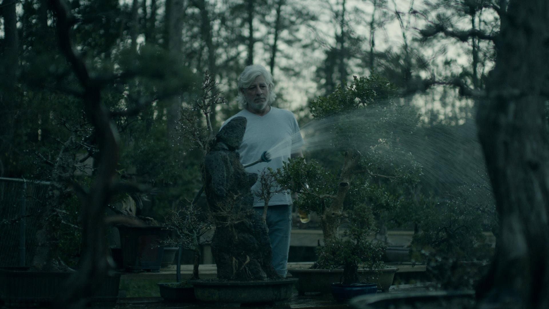 Poster backdrop for Bad Boy of Bonsai