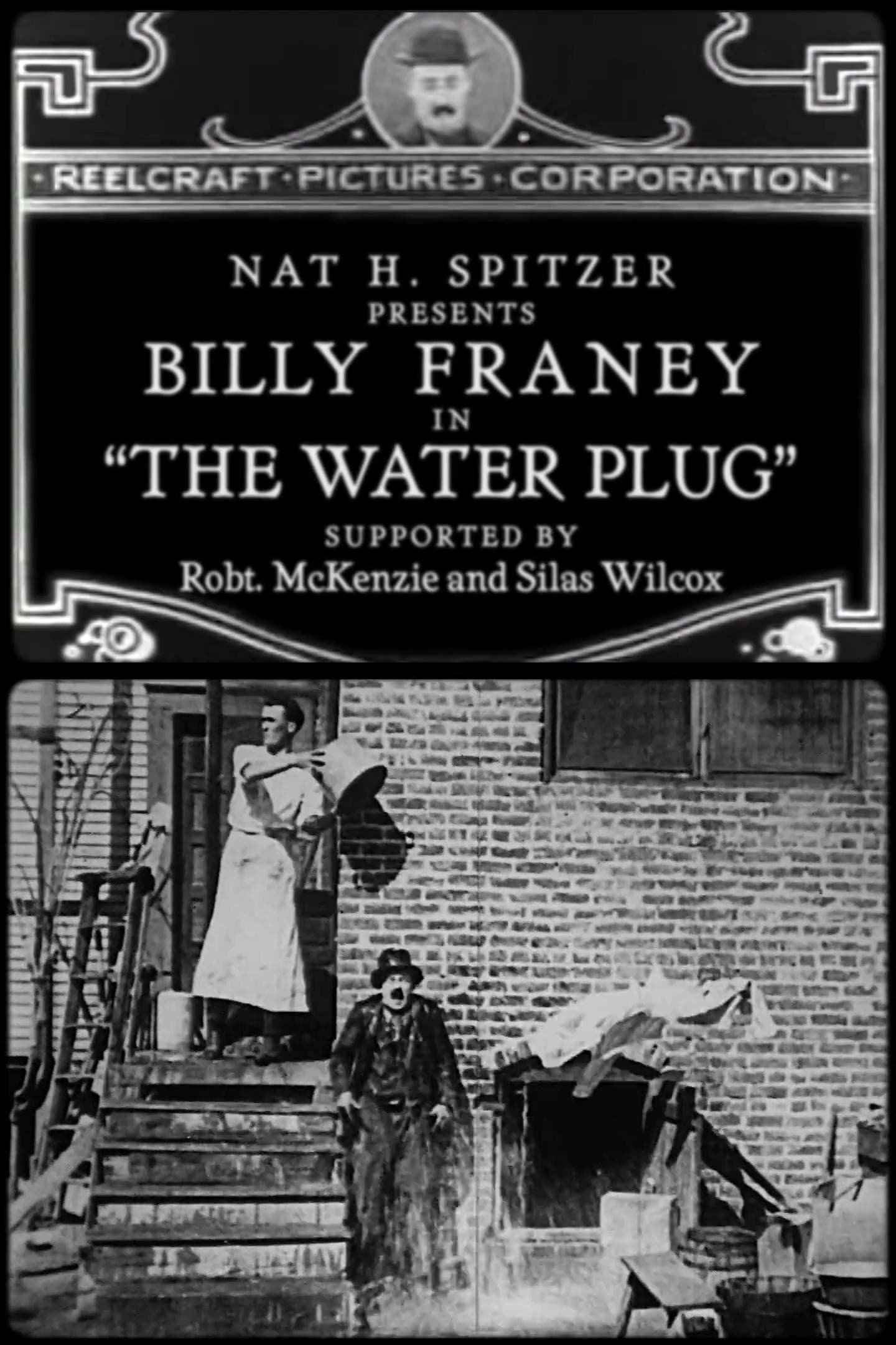 Poster backdrop for The Water Plug