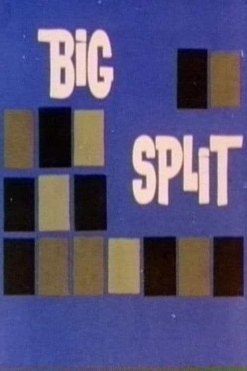 Poster backdrop for Big Split