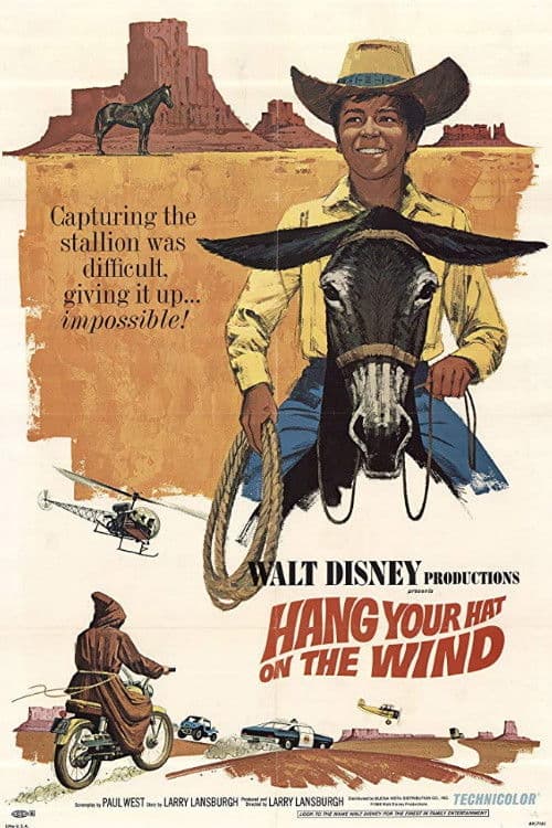 Poster backdrop for Hang Your Hat on the Wind