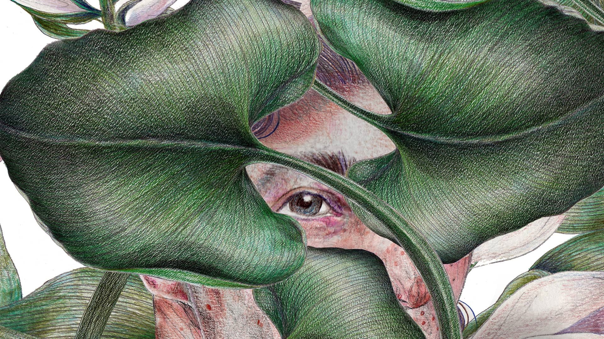 Poster backdrop for Nothing Is Lost