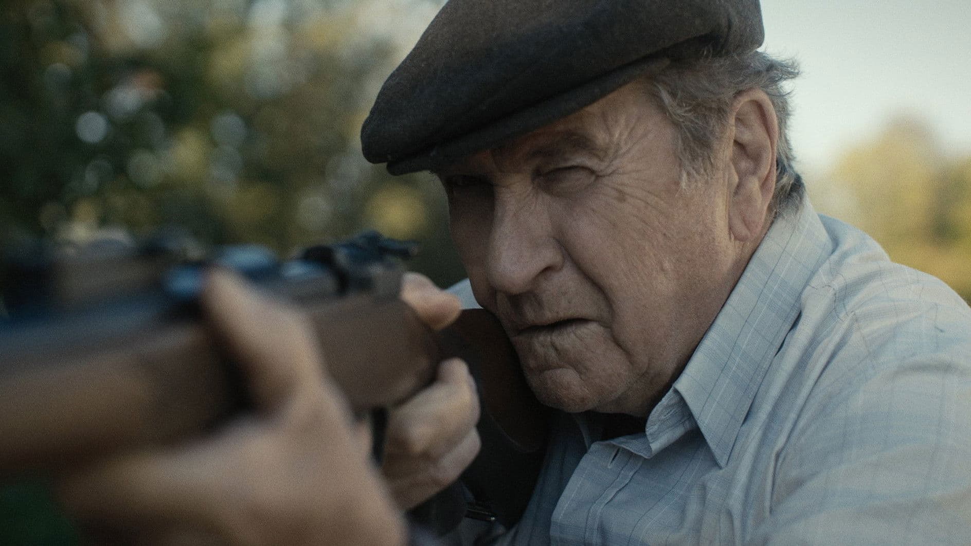 Poster backdrop for Dream 1991