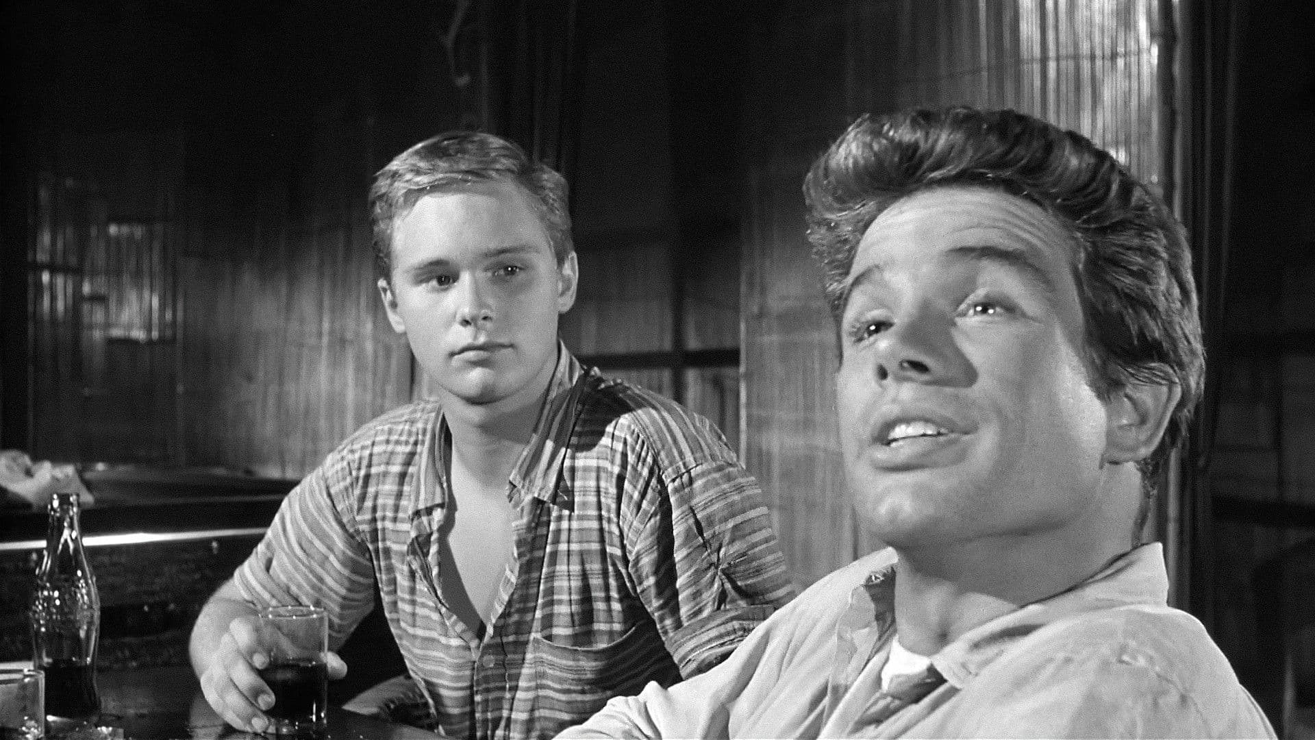 Poster backdrop for All Fall Down