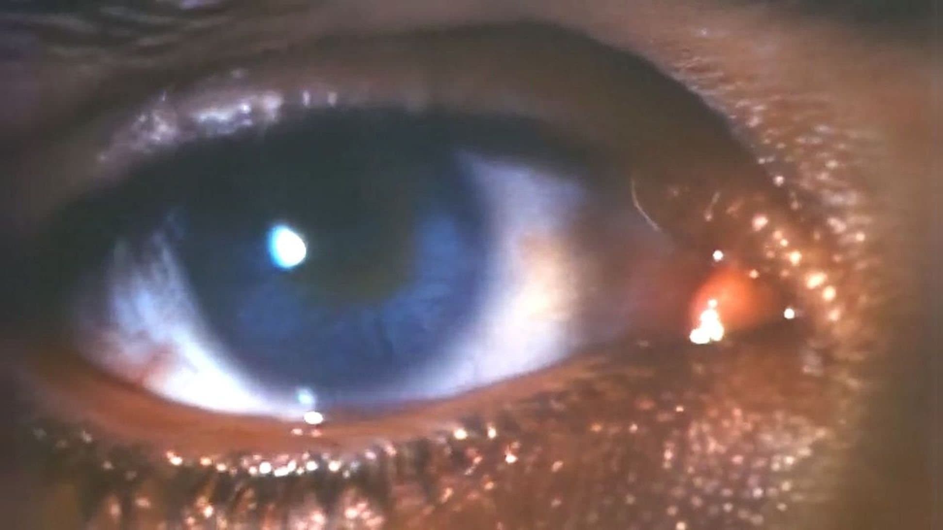 Poster backdrop for Faces of Death III