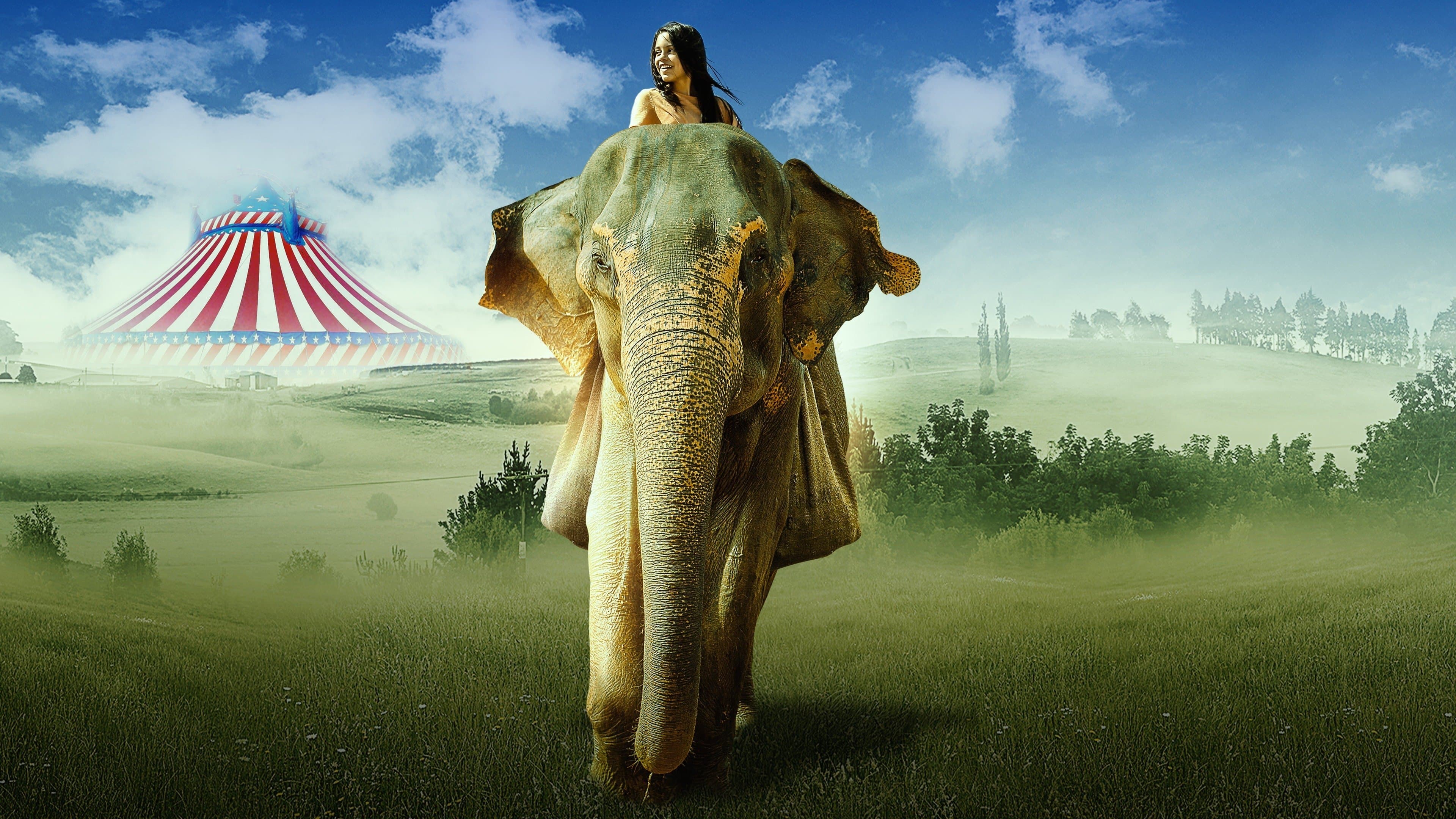 Poster backdrop for Saving Flora