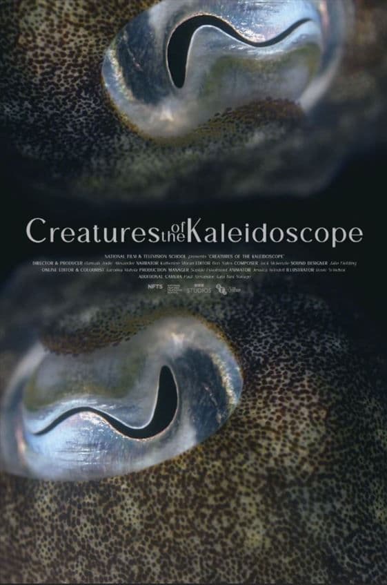 Poster backdrop for Creatures of the Kaleidoscope