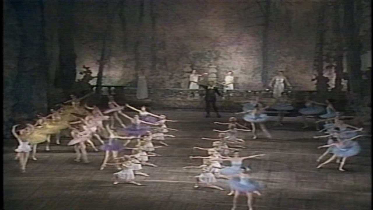 Poster backdrop for Don Quixote (Kirov Ballet)