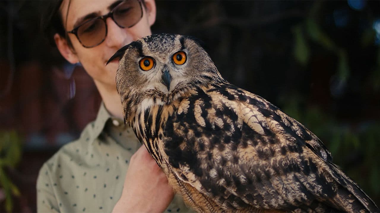 Poster backdrop for Rite of the Shaman