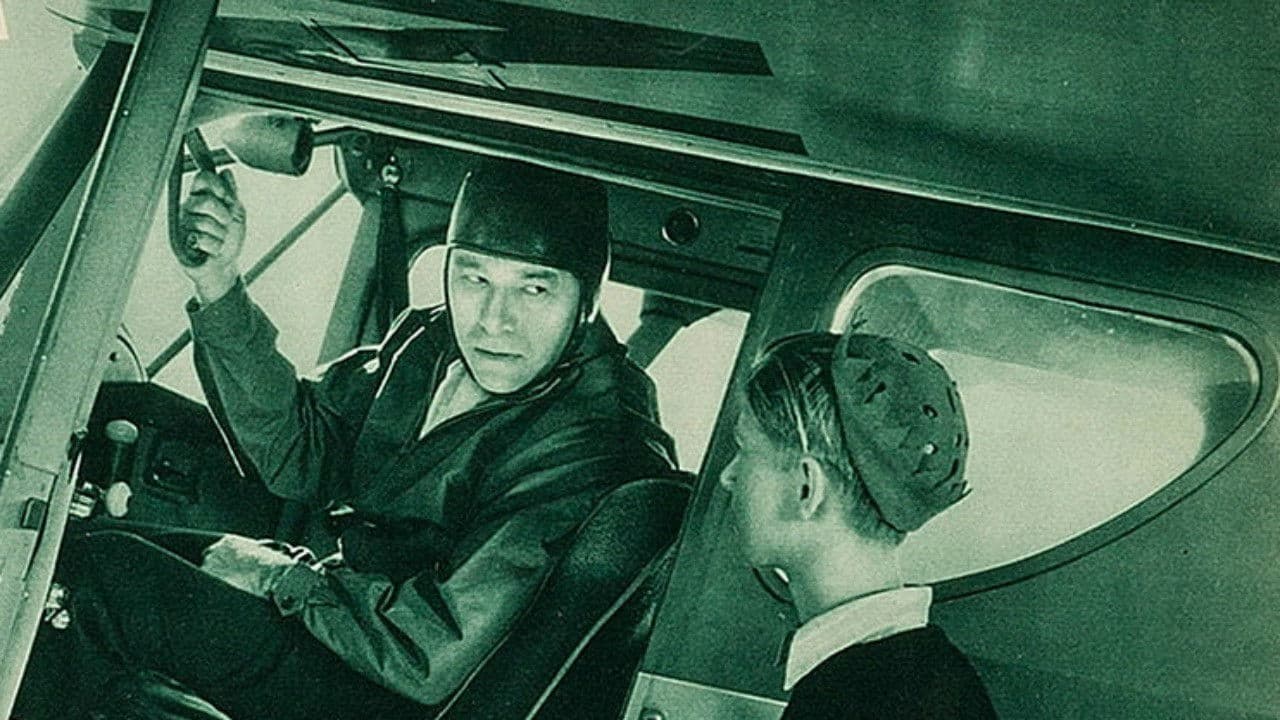 Poster backdrop for Sky Raiders