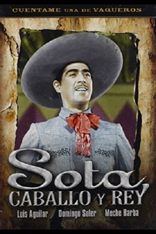 Poster backdrop for Sota, caballo y rey