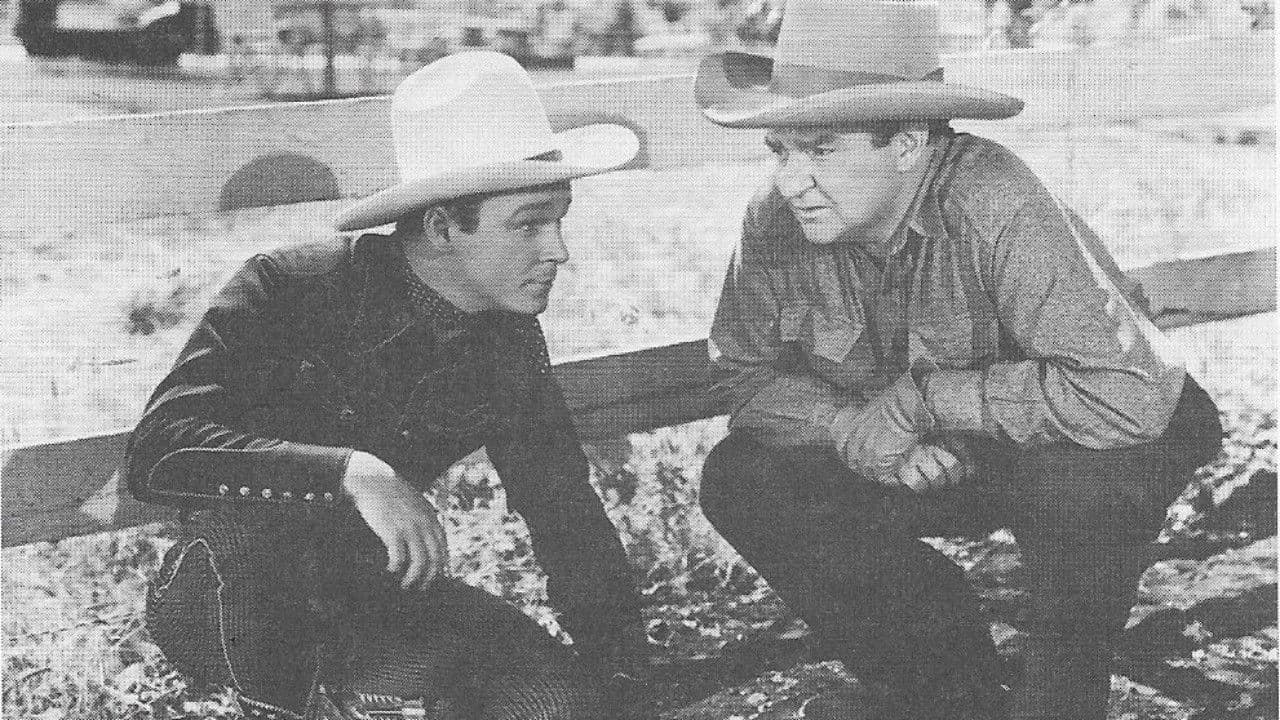 Poster backdrop for San Fernando Valley